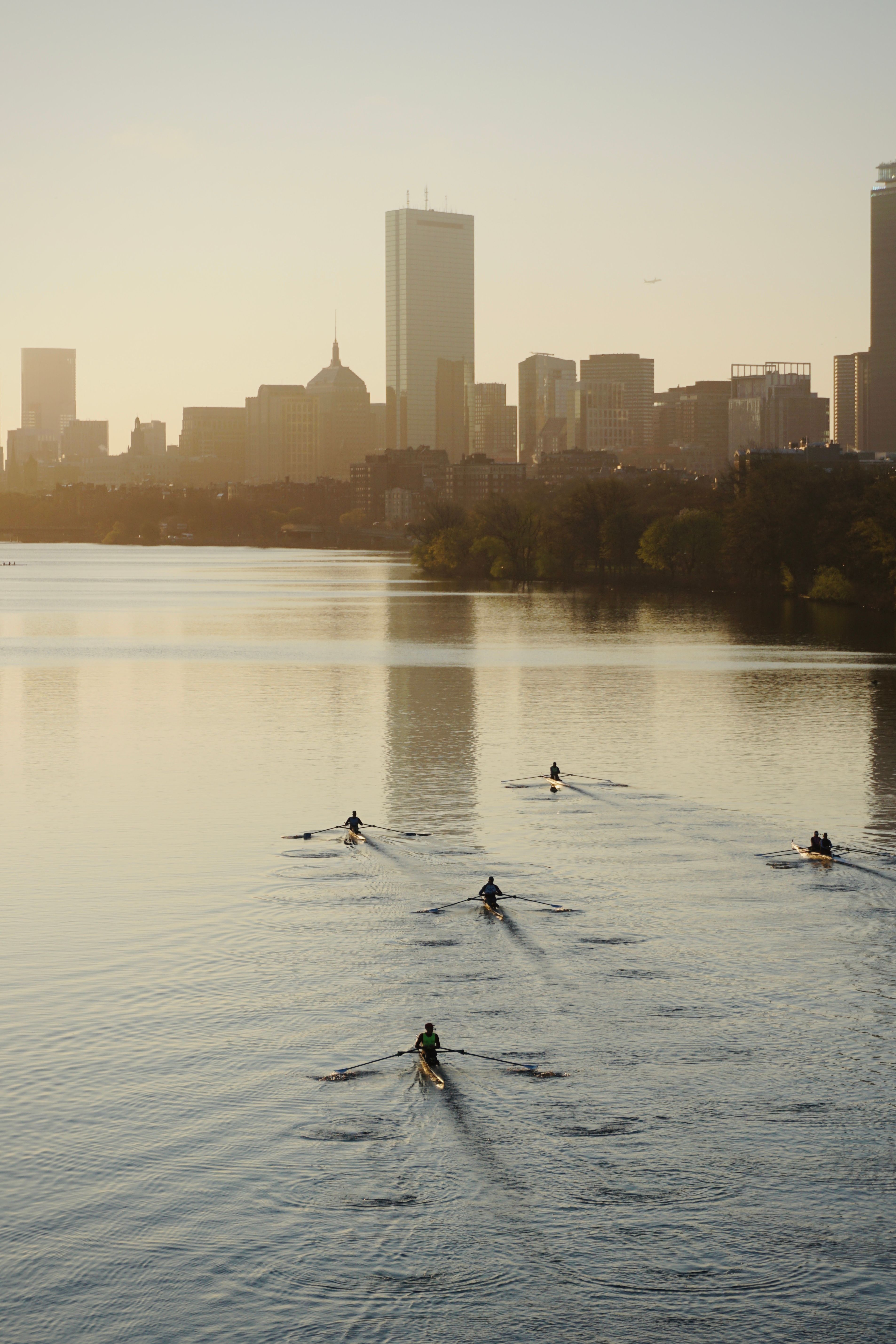 Aerial view of an eight-person rowing crew in perfect synchronization